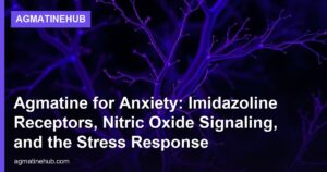 Agmatine for Anxiety: Imidazoline Receptors, Nitric Oxide Signaling, and the Stress Response