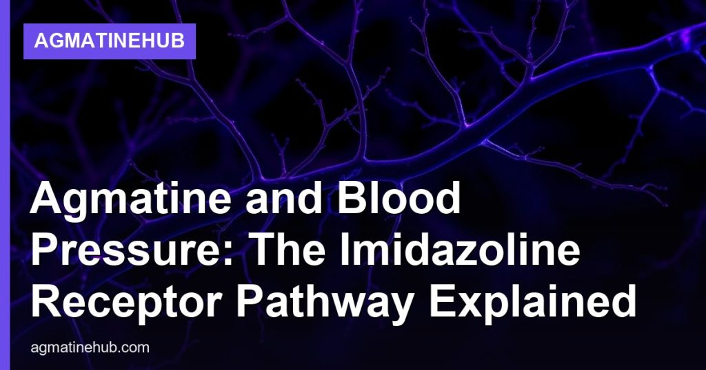 Agmatine and Blood Pressure: The Imidazoline Receptor Pathway Explained - AgmatineHub