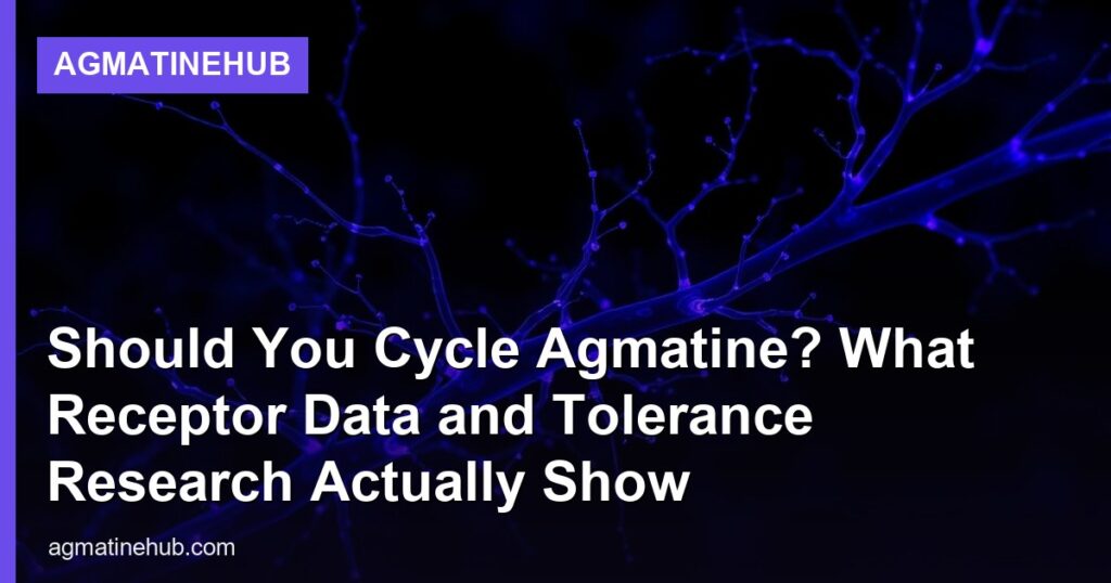 Should You Cycle Agmatine? What Receptor Data and Tolerance Research Actually Show - AgmatineHub
