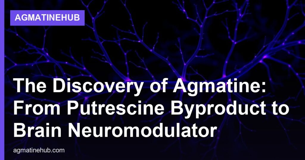 The Discovery of Agmatine: From Putrescine Byproduct to Brain Neuromodulator - AgmatineHub