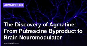 The Discovery of Agmatine: From Putrescine Byproduct to Brain Neuromodulator