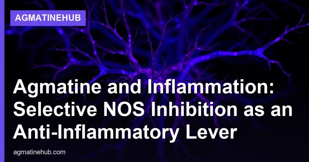 Agmatine and Inflammation: Selective NOS Inhibition as an Anti-Inflammatory Lever - AgmatineHub