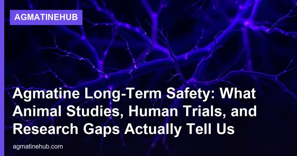 Agmatine Long-Term Safety: What Animal Studies, Human Trials, and Research Gaps Actually Tell Us - AgmatineHub