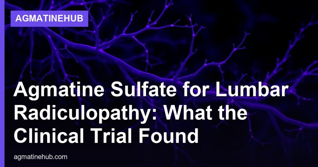 Agmatine Sulfate for Lumbar Radiculopathy: What the Clinical Trial Found - AgmatineHub