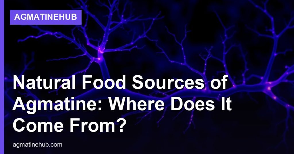 Natural Food Sources of Agmatine: Where Does It Come From? - AgmatineHub