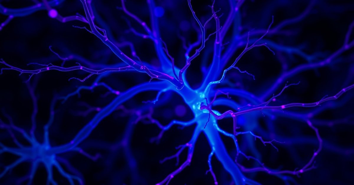 Spinal Cord Injury Pain and Neuroinflammatory Modulation - AgmatineHub
