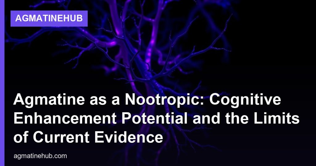 Agmatine as a Nootropic: Cognitive Enhancement Potential and the Limits of Current Evidence - AgmatineHub