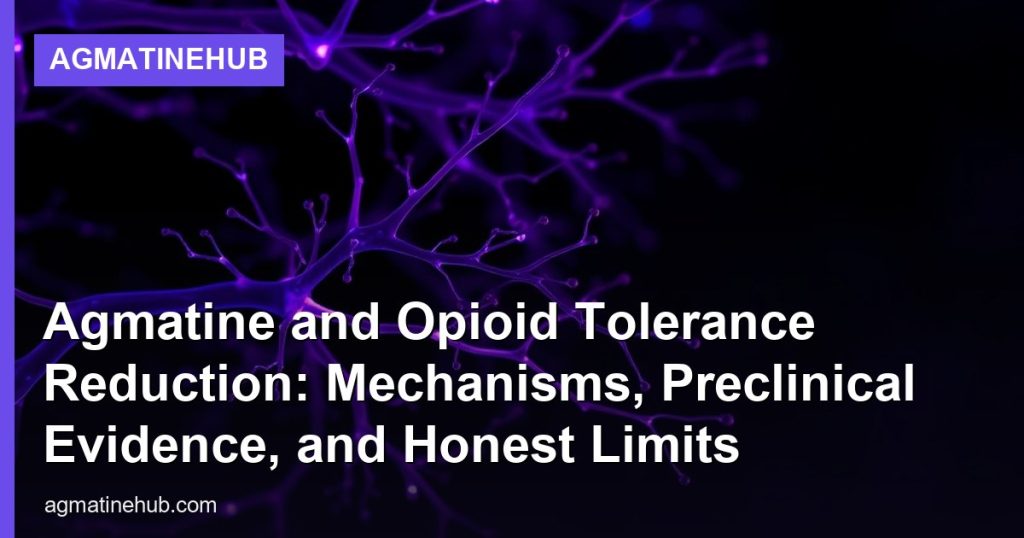 Agmatine and Opioid Tolerance Reduction: Mechanisms, Preclinical Evidence, and Honest Limits - AgmatineHub