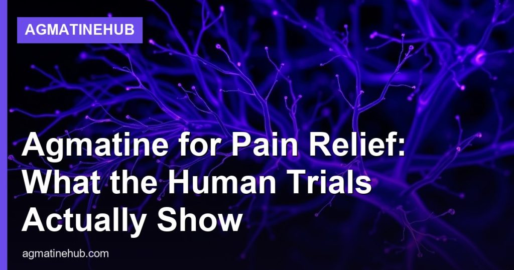 Agmatine for Pain Relief: What the Human Trials Actually Show - AgmatineHub