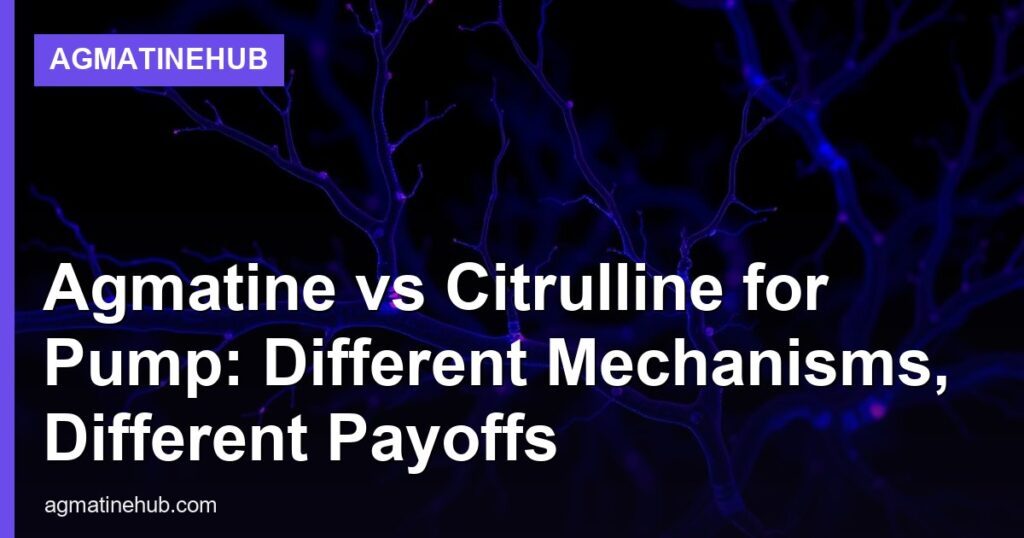 Agmatine vs Citrulline for Pump: Different Mechanisms, Different Payoffs - AgmatineHub
