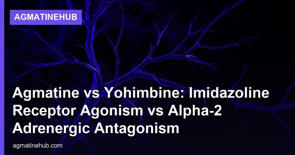 Agmatine vs Yohimbine: Imidazoline Receptor Agonism vs Alpha-2 Adrenergic Antagonism - AgmatineHub