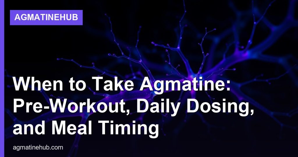 When to Take Agmatine: Pre-Workout, Daily Dosing, and Meal Timing - AgmatineHub