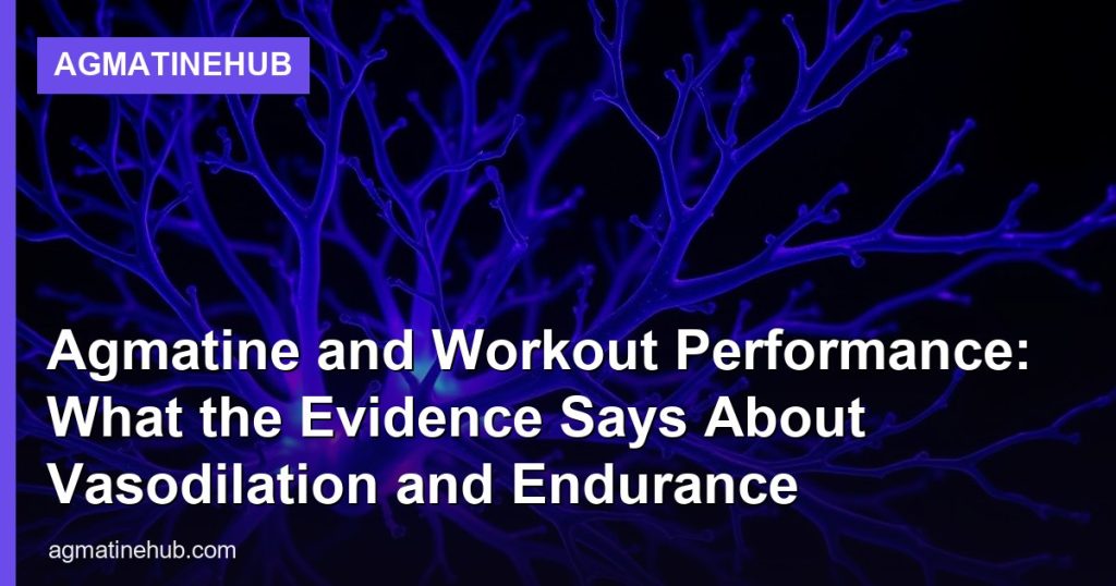 Agmatine and Workout Performance: What the Evidence Says About Vasodilation and Endurance - AgmatineHub