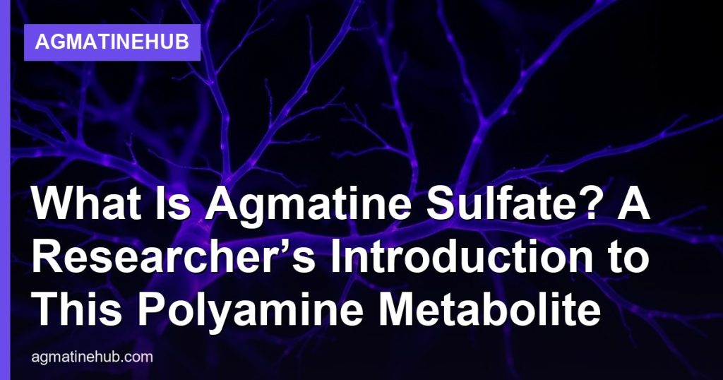 What Is Agmatine Sulfate? A Researcher’s Introduction to This Polyamine Metabolite - AgmatineHub