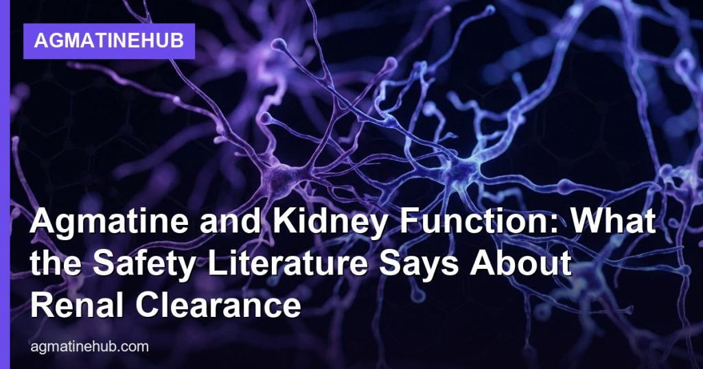 Agmatine and Kidney Function: What the Safety Literature Says About Renal Clearance - AgmatineHub