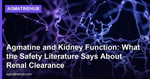 Agmatine and Kidney Function: What the Safety Literature Says About Renal Clearance