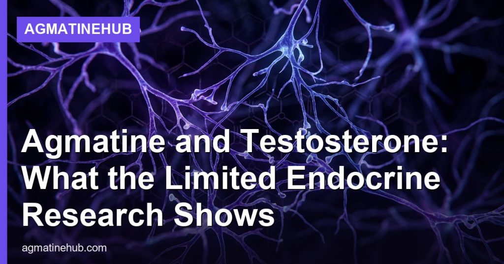 Agmatine and Testosterone: What the Limited Endocrine Research Shows - AgmatineHub