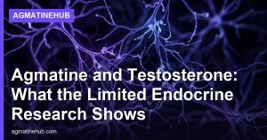 Agmatine and Testosterone: What the Limited Endocrine Research Shows
