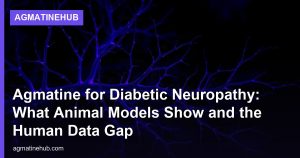 Agmatine for Diabetic Neuropathy: What Animal Models Show and the Human Data Gap