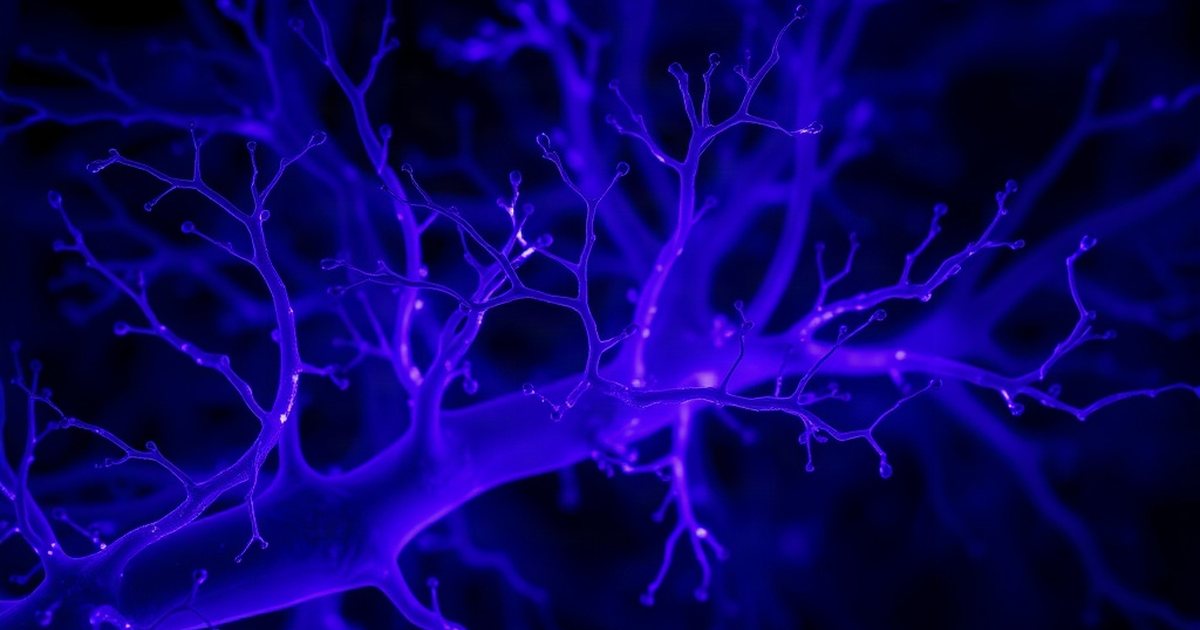 Agmatine Reduces Tactile Allodynia in Streptozotocin-Diabetic Rats - AgmatineHub