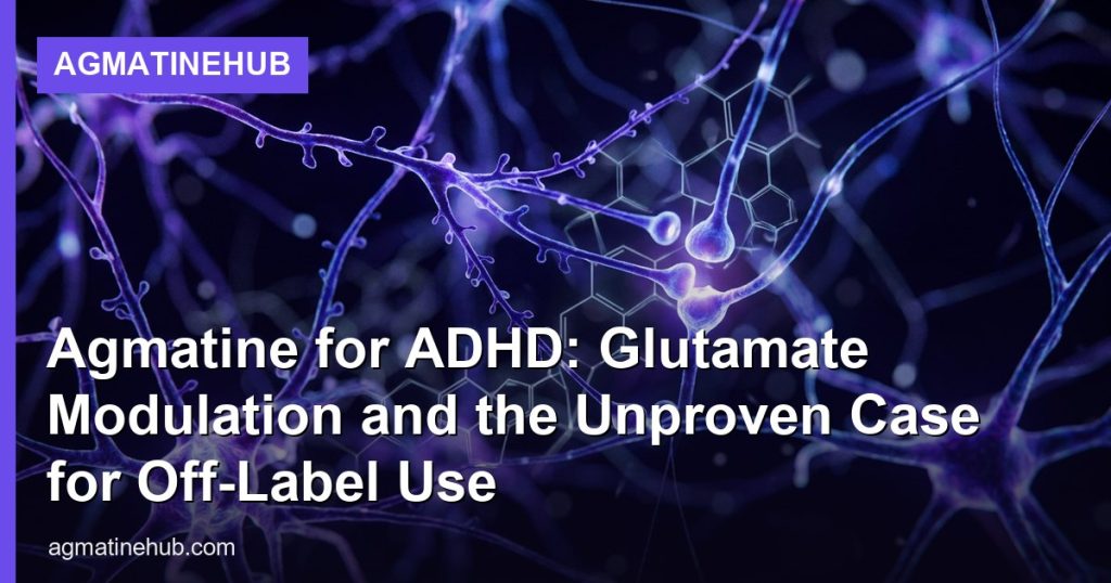 Agmatine for ADHD: Glutamate Modulation and the Unproven Case for Off-Label Use - AgmatineHub