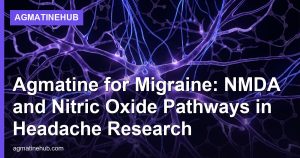 Agmatine for Migraine: NMDA and Nitric Oxide Pathways in Headache Research