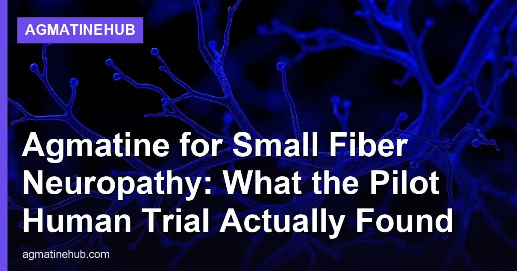 Agmatine for Small Fiber Neuropathy: What the Pilot Human Trial Actually Found - AgmatineHub