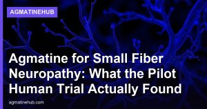 Agmatine for Small Fiber Neuropathy: What the Pilot Human Trial Actually Found