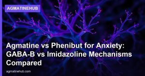 Agmatine vs Phenibut for Anxiety: GABA-B vs Imidazoline Mechanisms Compared